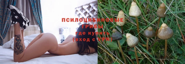амф Балабаново