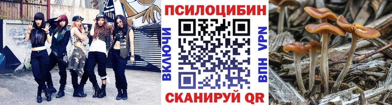 Галлюциногенные грибы Cubensis  Пересвет 